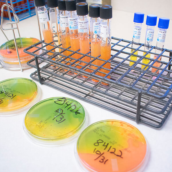 Petri dishes and vials of samples set atop a desk.