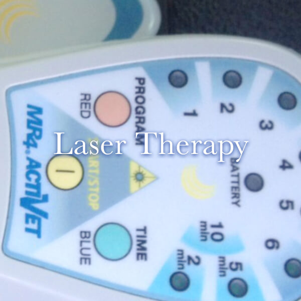 Laser therapy wand