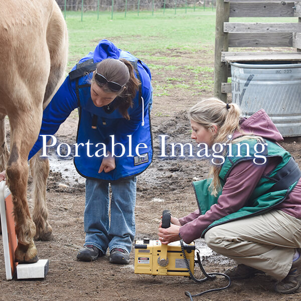 Two veterinarians performing portable radiology test